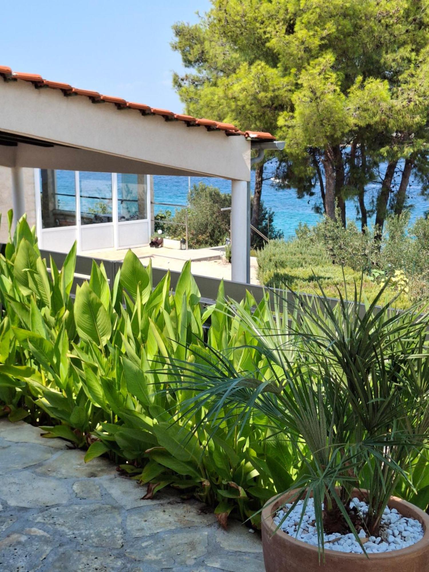 Villa Gjardini - Sparadici Grebaštica Eksteriør billede